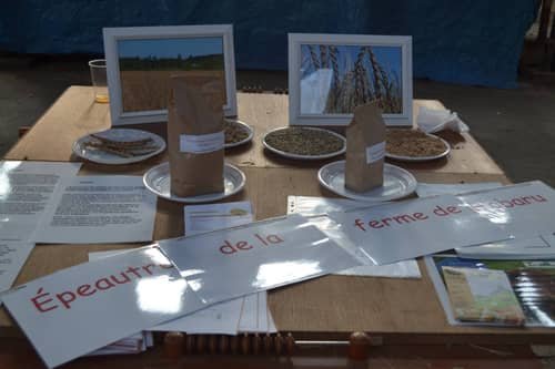 Farine, grains et produits à base d'épeautre de la ferme