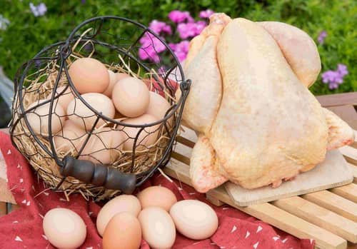 Panier d'œufs frais et poulet fermier de la ferme d'Habaru